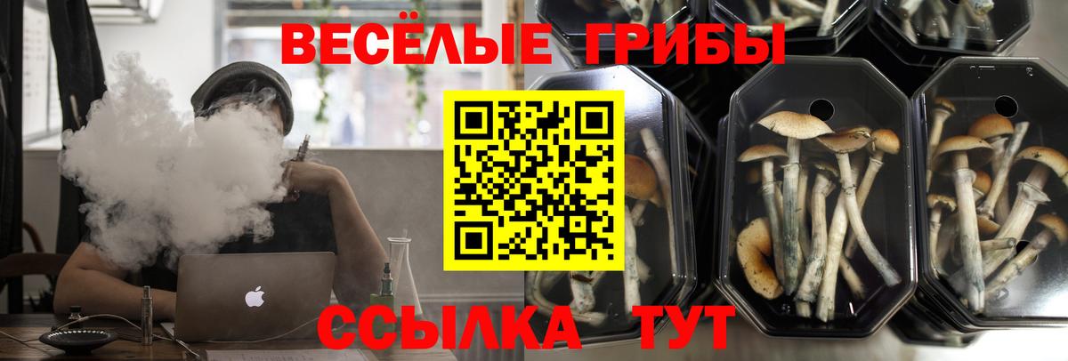 Майский  сколько стоит  Вход с VPN  Псилоцибиновые грибы Psilocybe 