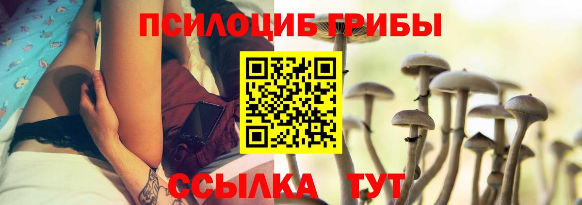 Галлюциногенные грибы Psilocybe Майский